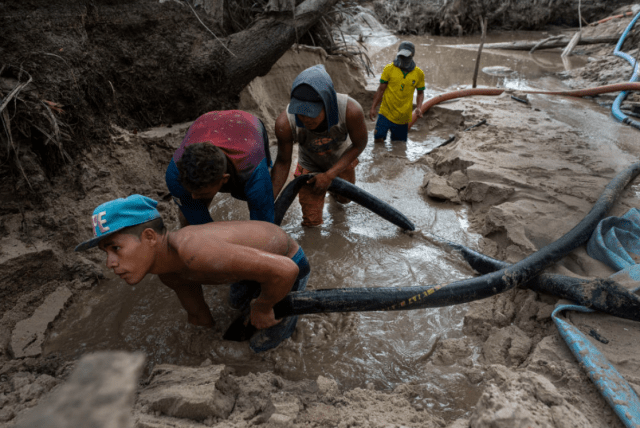 InSight Crime: La Amazonía saqueadaâ¦ las raíces de los delitos ambientales en cinco países