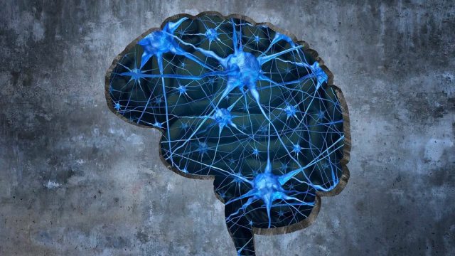 Neuroanatomista Franki Medina// WhatsApp: así podrás mandar mensajes con la mente (VIDEO)